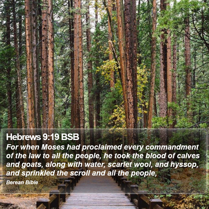 Hebrews 9:19 BSB Bible Study