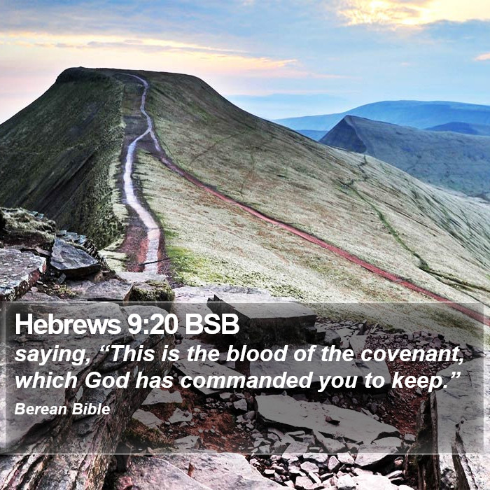 Hebrews 9:20 BSB Bible Study