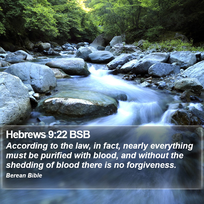 Hebrews 9:22 BSB Bible Study