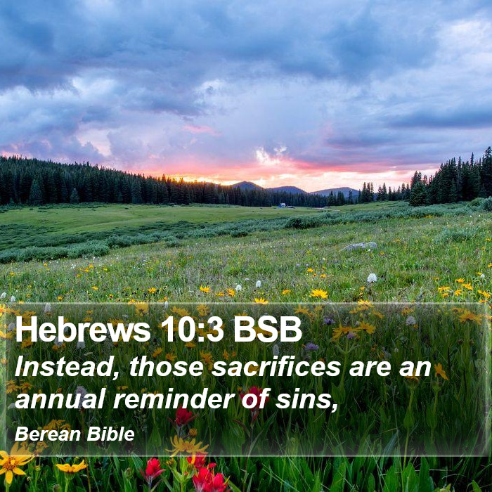 Hebrews 10:3 BSB Bible Study