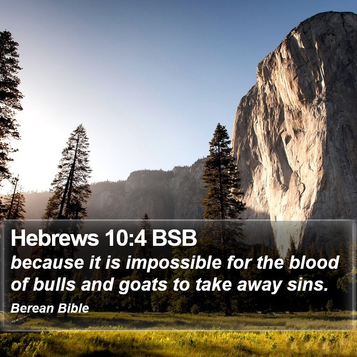 Hebrews 10:4 BSB Bible Study