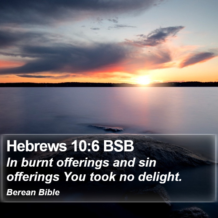 Hebrews 10:6 BSB Bible Study