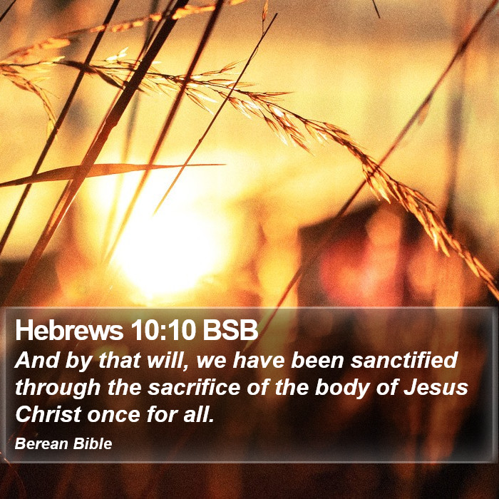 Hebrews 10:10 BSB Bible Study