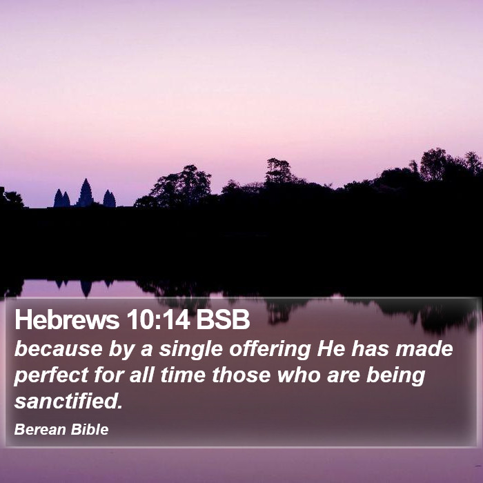 Hebrews 10:14 BSB Bible Study