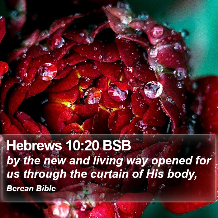 Hebrews 10:20 BSB Bible Study