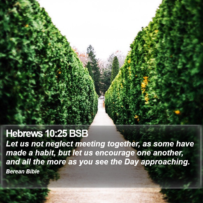 Hebrews 10:25 BSB Bible Study