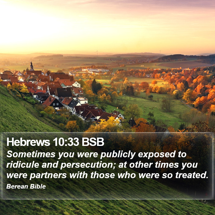 Hebrews 10:33 BSB Bible Study