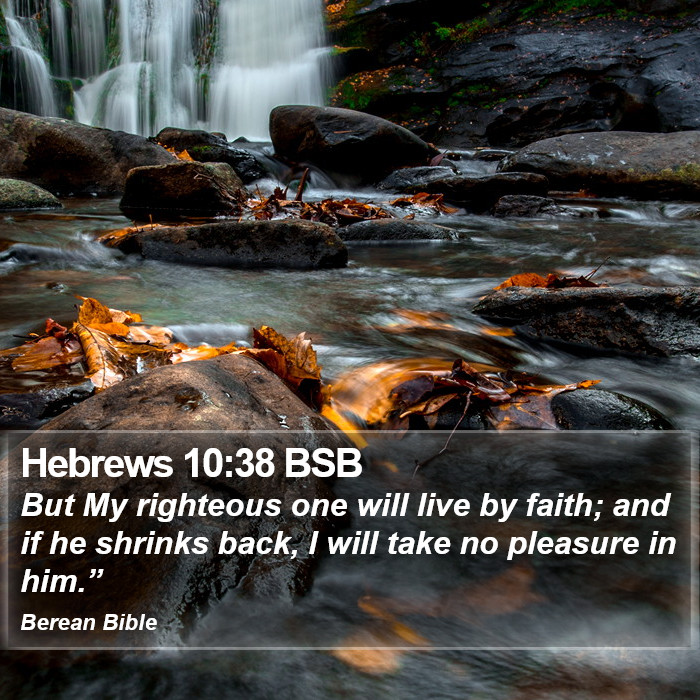 Hebrews 10:38 BSB Bible Study