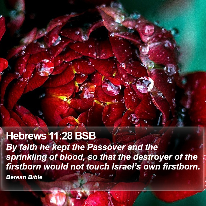 Hebrews 11:28 BSB Bible Study