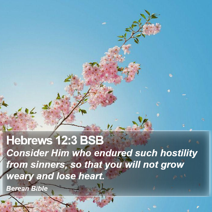 Hebrews 12:3 BSB Bible Study