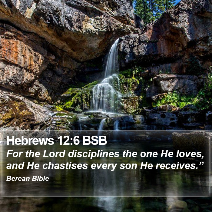 Hebrews 12:6 BSB Bible Study