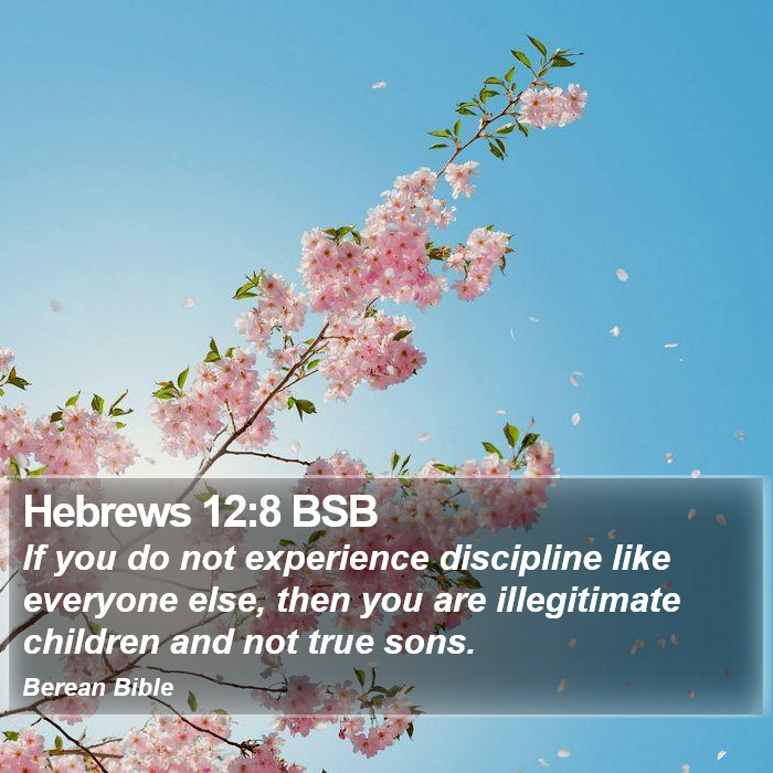 Hebrews 12:8 BSB Bible Study