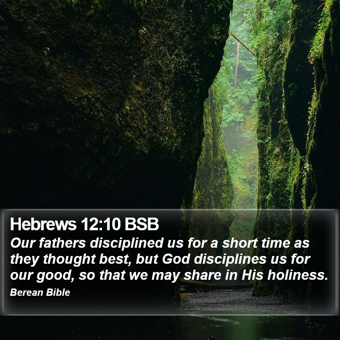 Hebrews 12:10 BSB Bible Study