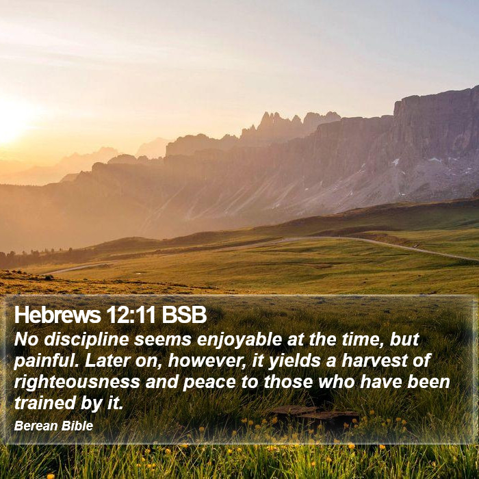 Hebrews 12:11 BSB Bible Study