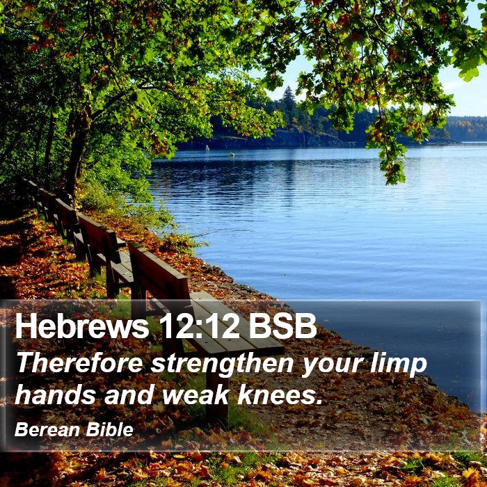 Hebrews 12:12 BSB Bible Study