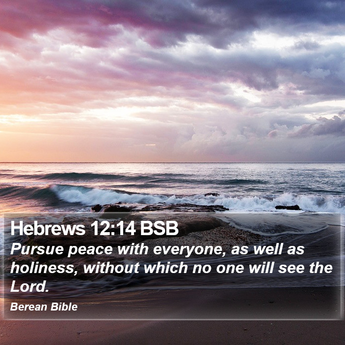 Hebrews 12:14 BSB Bible Study