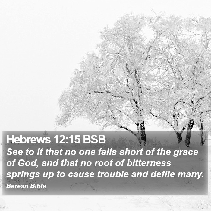 Hebrews 12:15 BSB Bible Study