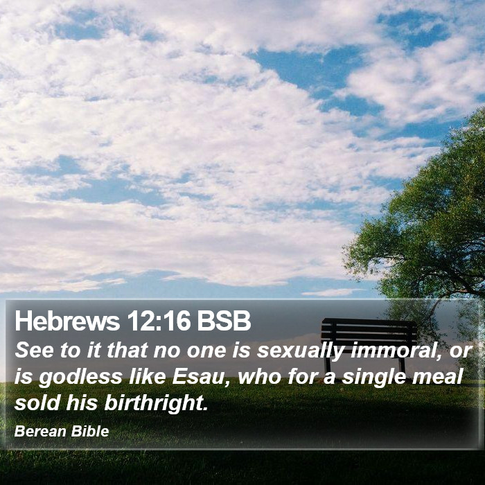 Hebrews 12:16 BSB Bible Study