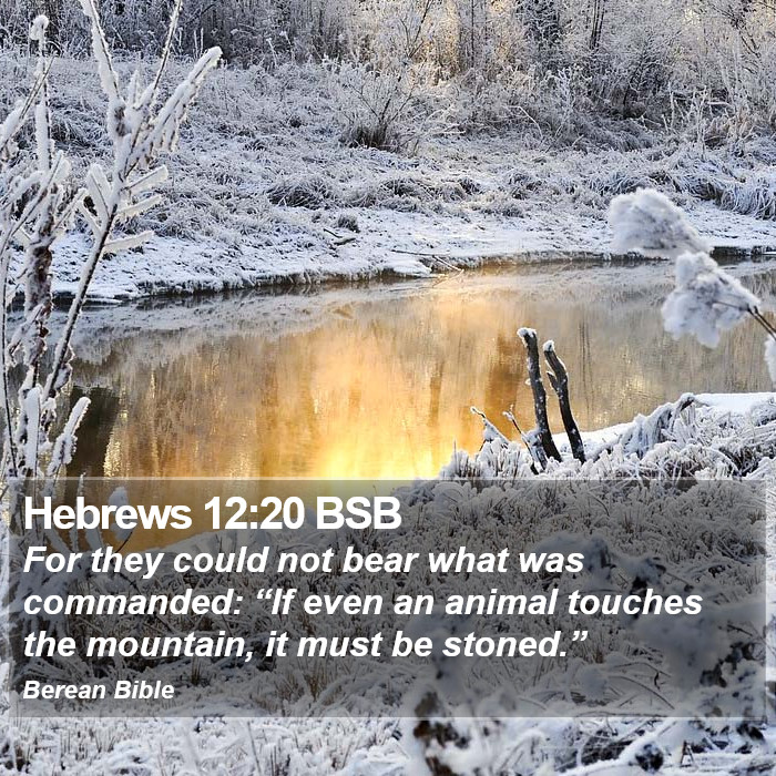 Hebrews 12:20 BSB Bible Study