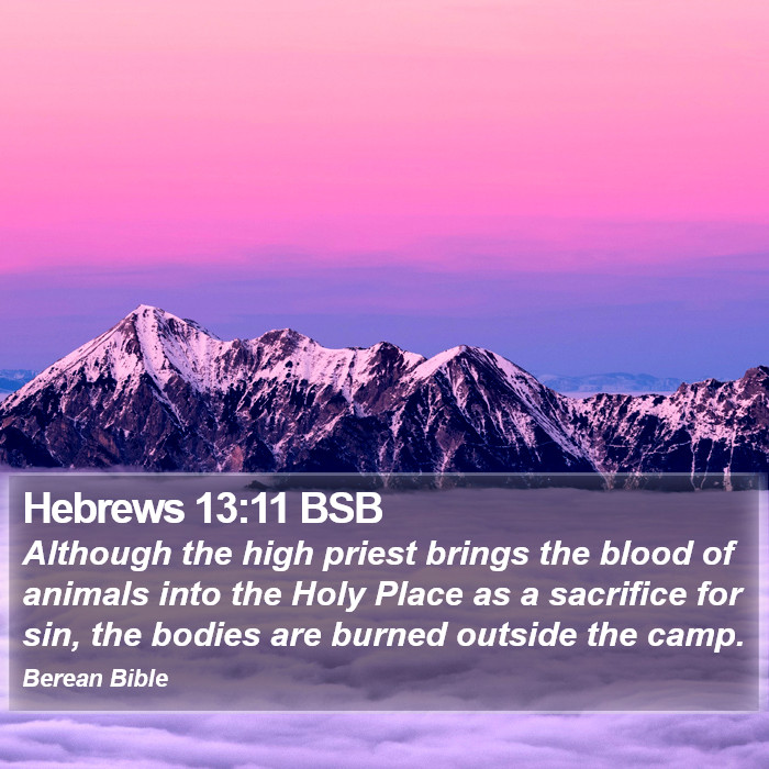 Hebrews 13:11 BSB Bible Study