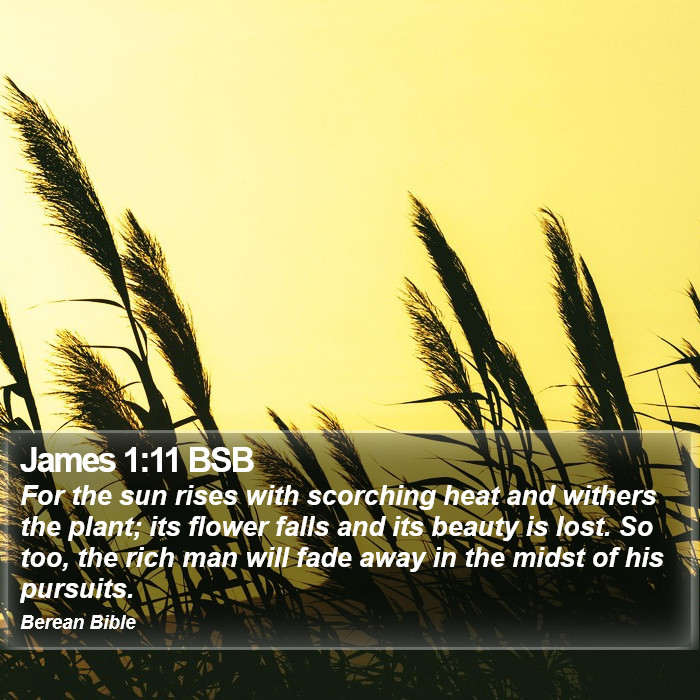 James 1:11 BSB Bible Study