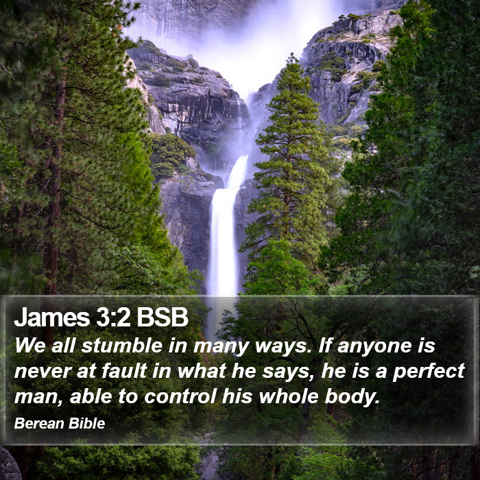 James 3:2 BSB Bible Study