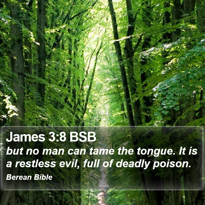 James 3:8 BSB Bible Study