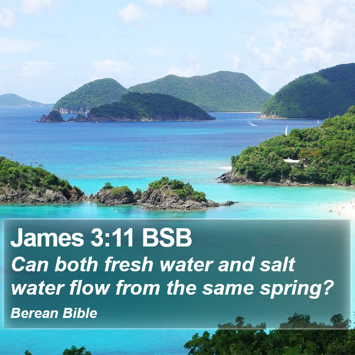 James 3:11 BSB Bible Study