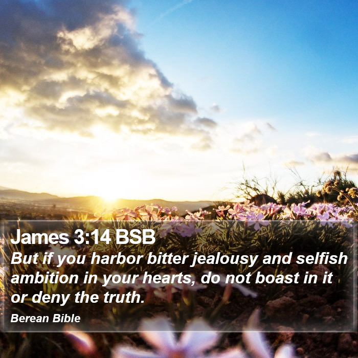 James 3:14 BSB Bible Study