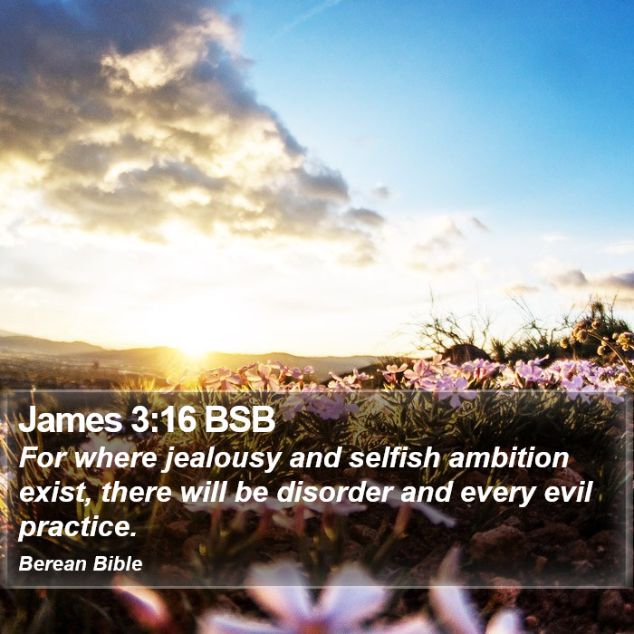 James 3:16 BSB Bible Study