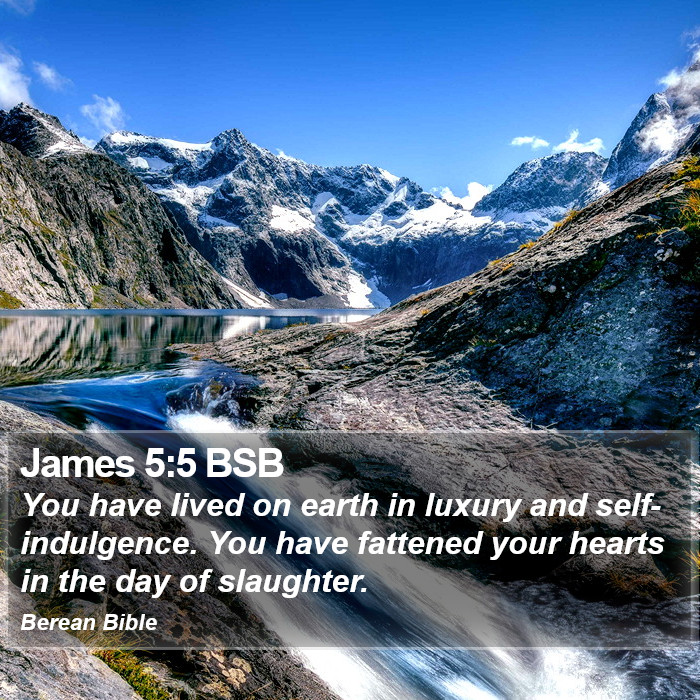 James 5:5 BSB Bible Study