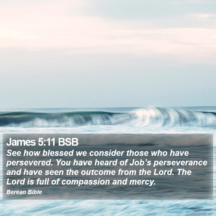 James 5:11 BSB Bible Study