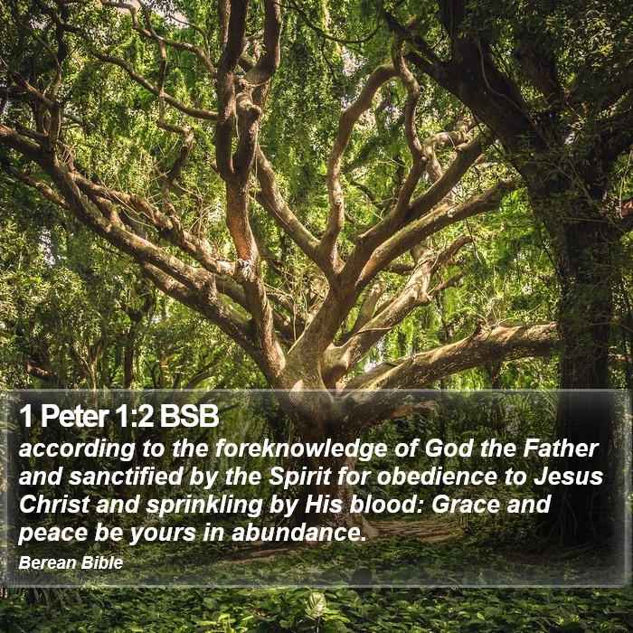 1 Peter 1:2 BSB Bible Study