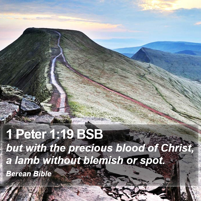 1 Peter 1:19 BSB Bible Study