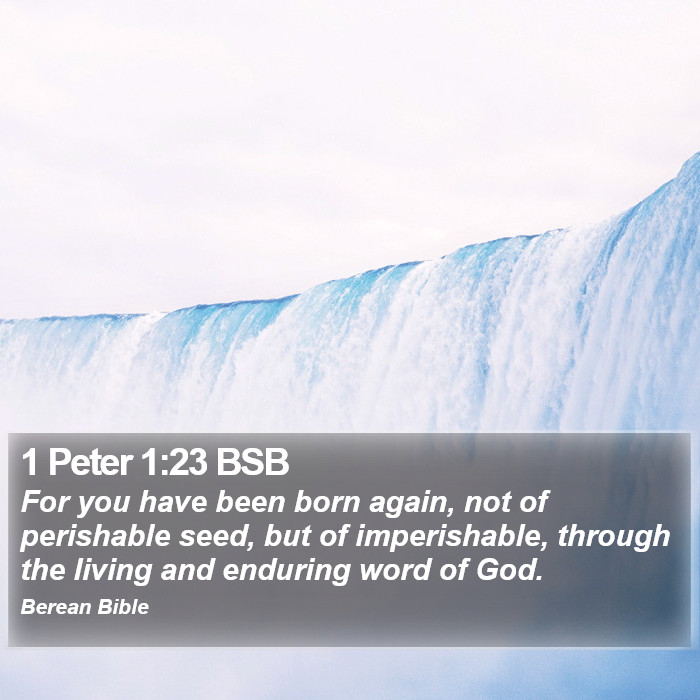 1 Peter 1:23 BSB Bible Study