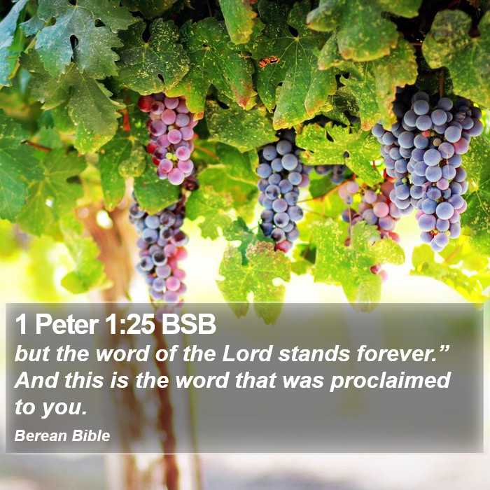 1 Peter 1:25 BSB Bible Study