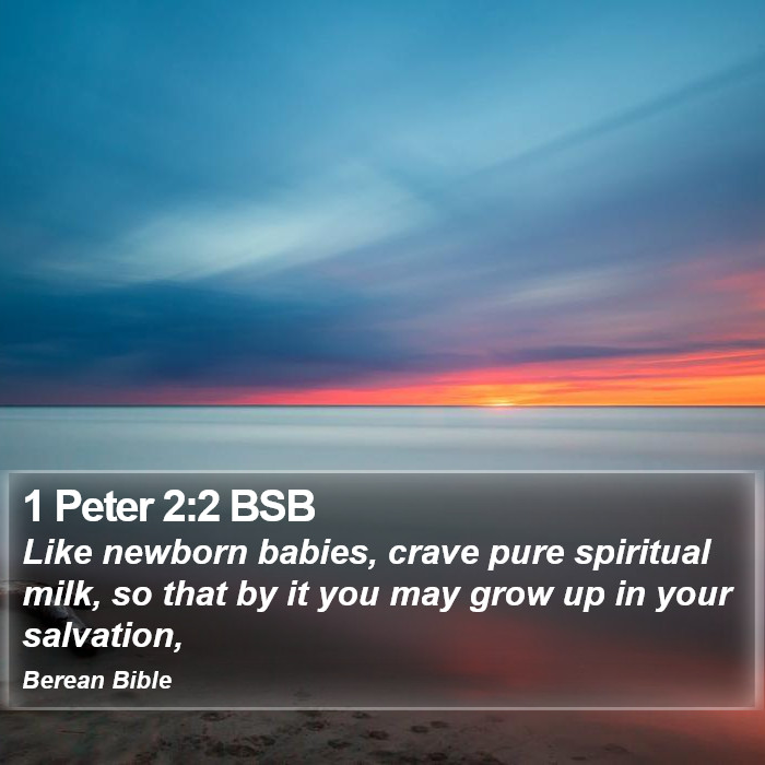 1 Peter 2:2 BSB Bible Study