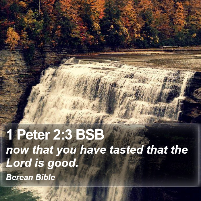 1 Peter 2:3 BSB Bible Study