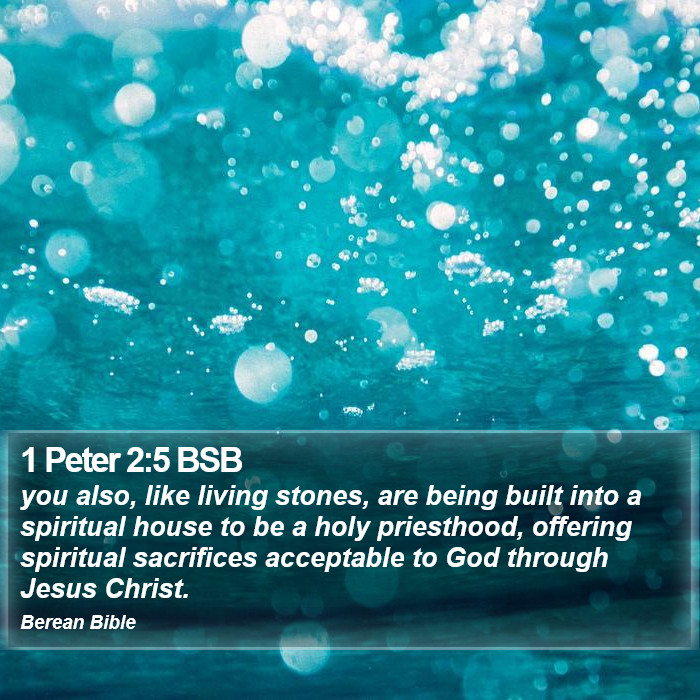 1 Peter 2:5 BSB Bible Study