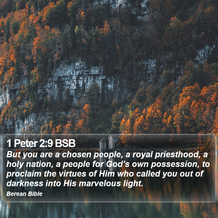 1 Peter 2:9 BSB Bible Study