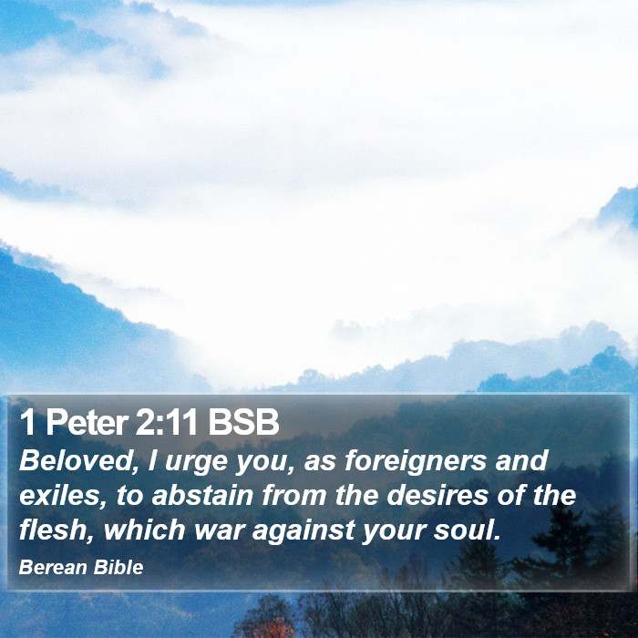 1 Peter 2:11 BSB Bible Study