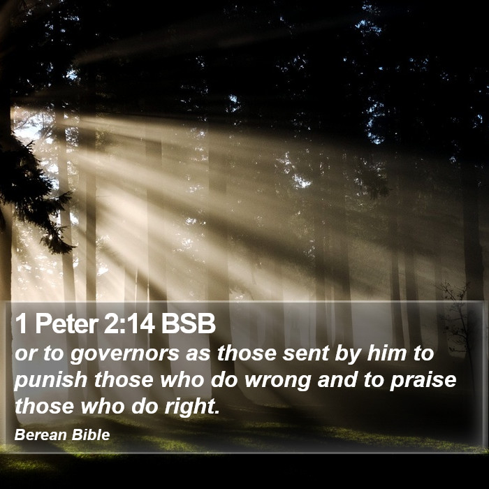 1 Peter 2:14 BSB Bible Study