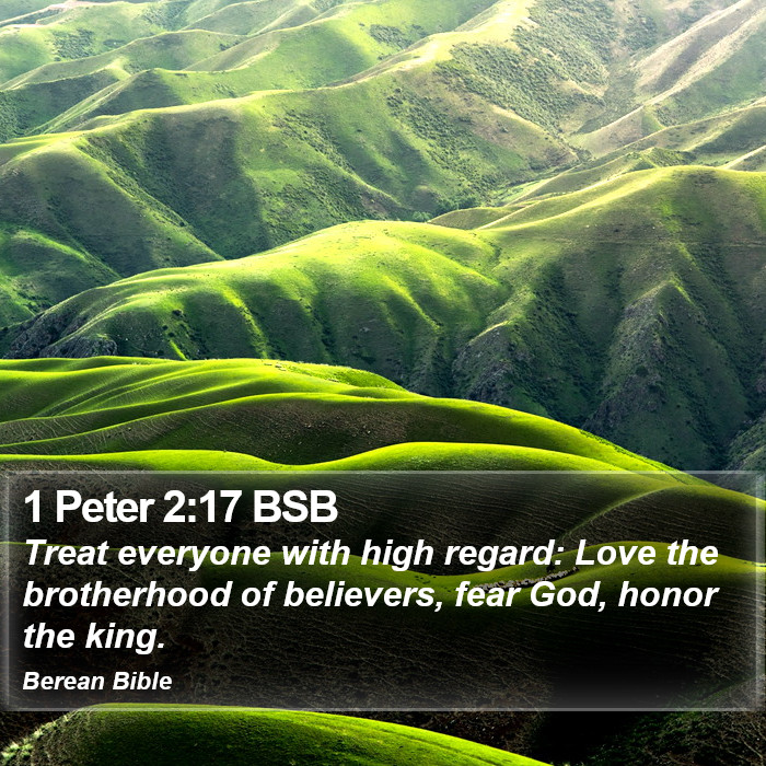 1 Peter 2:17 BSB Bible Study