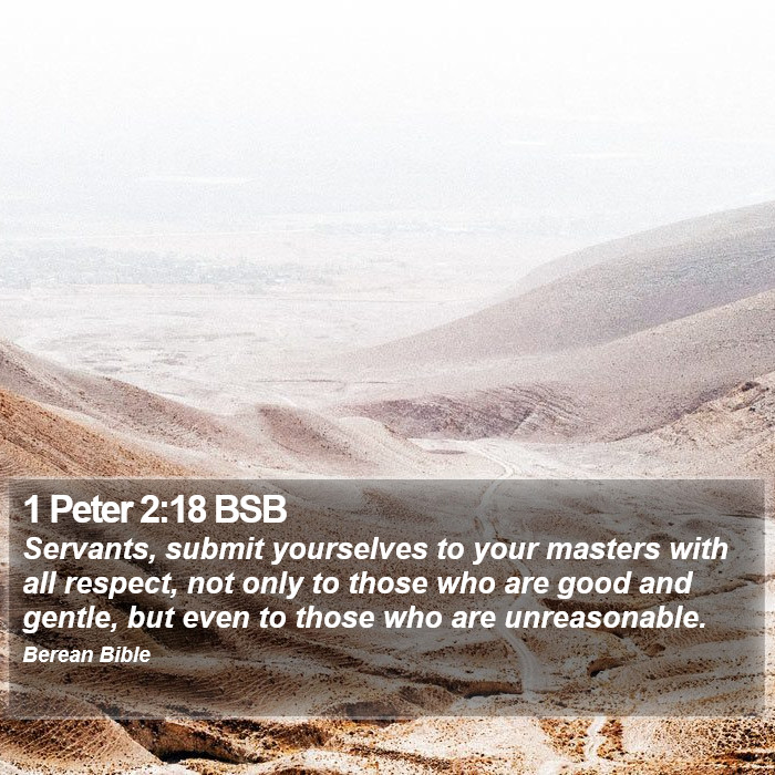 1 Peter 2:18 BSB Bible Study