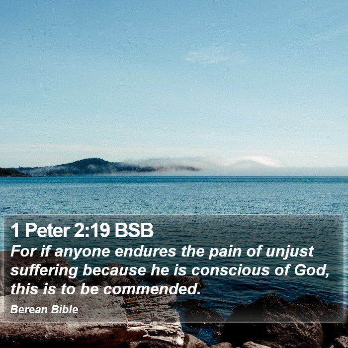 1 Peter 2:19 BSB Bible Study