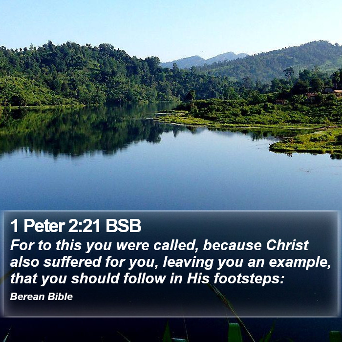 1 Peter 2:21 BSB Bible Study