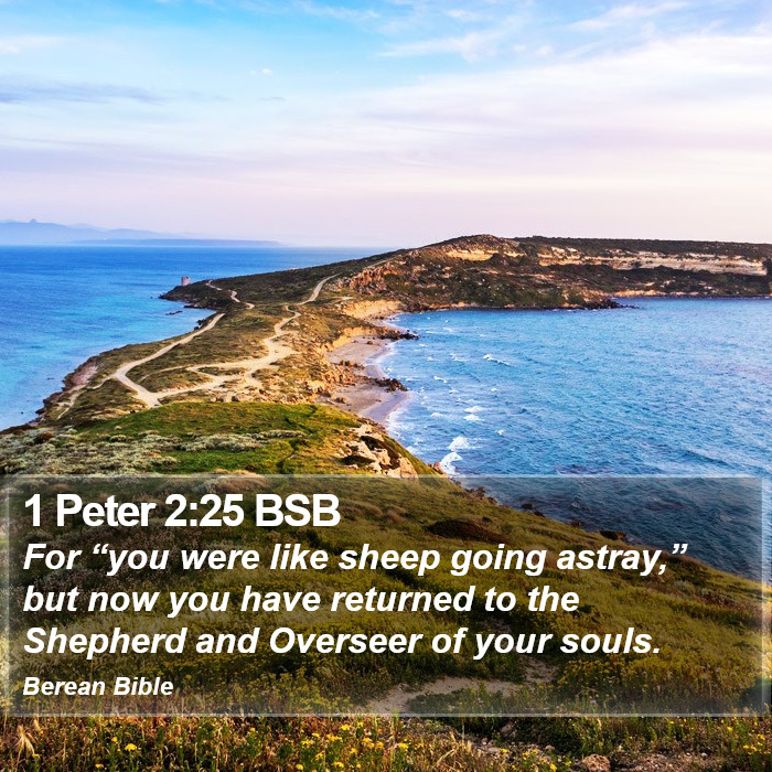 1 Peter 2:25 BSB Bible Study