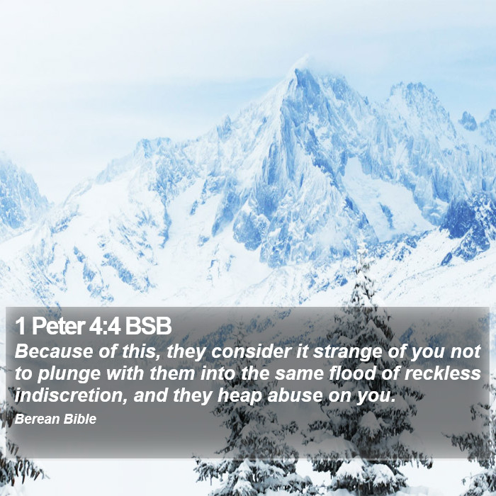 1 Peter 4:4 BSB Bible Study