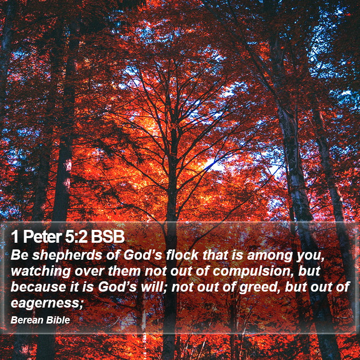 1 Peter 5:2 BSB Bible Study