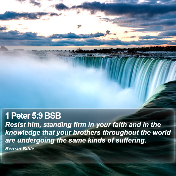 1 Peter 5:9 BSB Bible Study